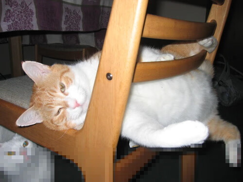 足球青训联盟成立,计划覆盖全国200所中学,2021足球俱乐部青训招生