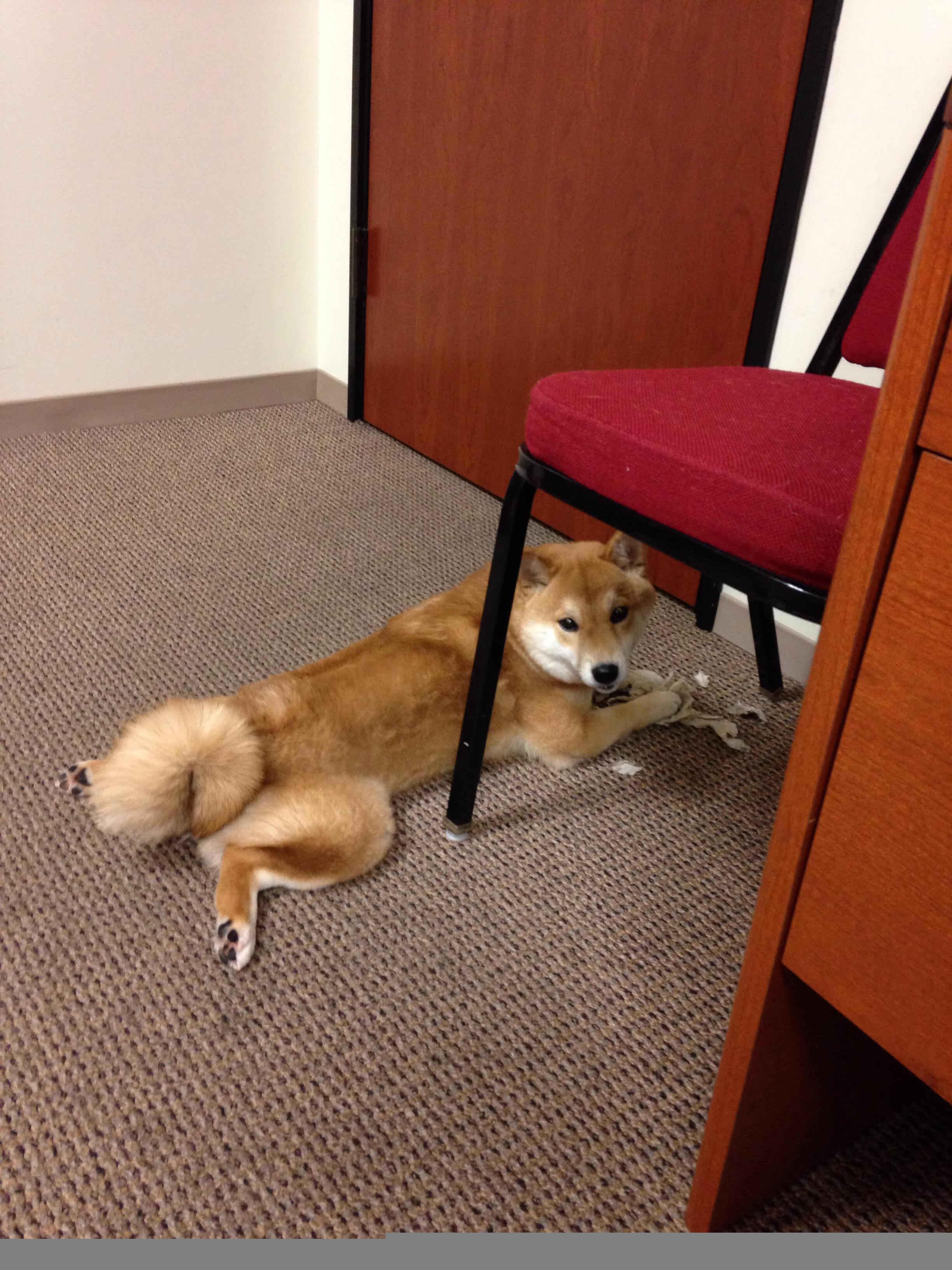 爱游戏登录入口-LCK季后赛席位争夺激烈，lck季后赛赛制规则