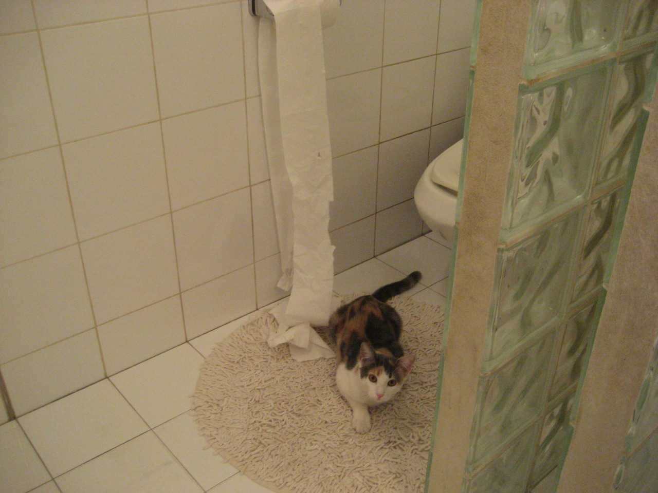 TES启动电竞运动员健康档案数字化项目,电竞运动员登记表格