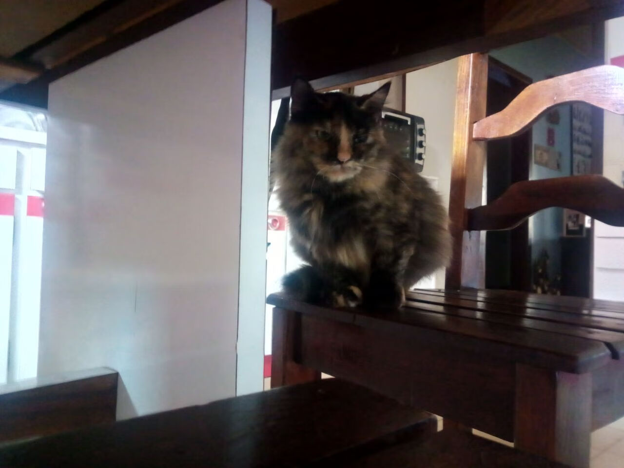 爱游戏官网下载-传统豪门博洛尼亚现身冷门，勇往直前追赶，博洛尼亚ds