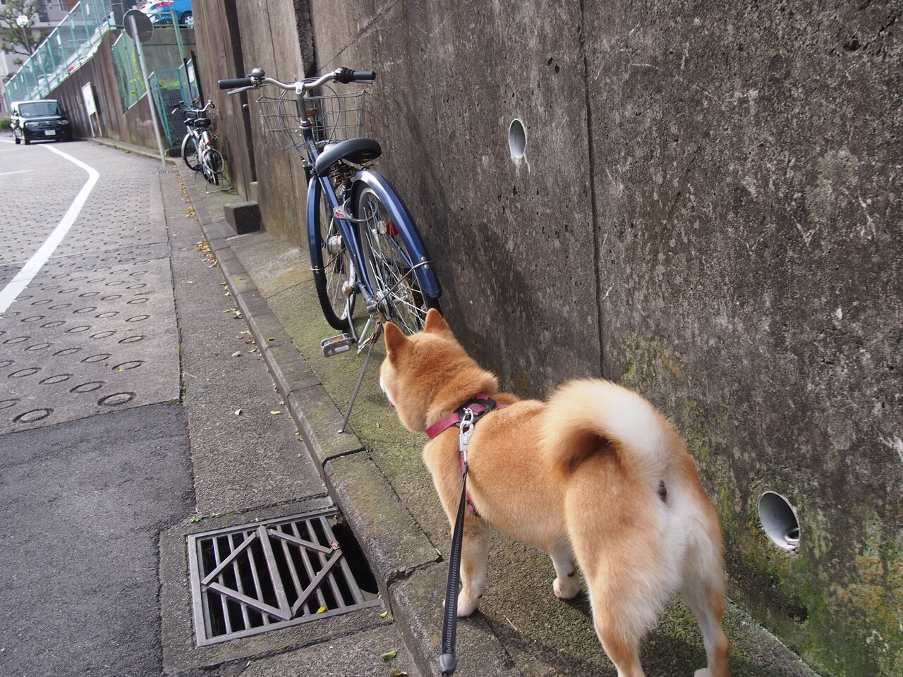 爱游戏体育客户端-全力以赴，助力球队率先突破对手防线！，全力以赴比赛