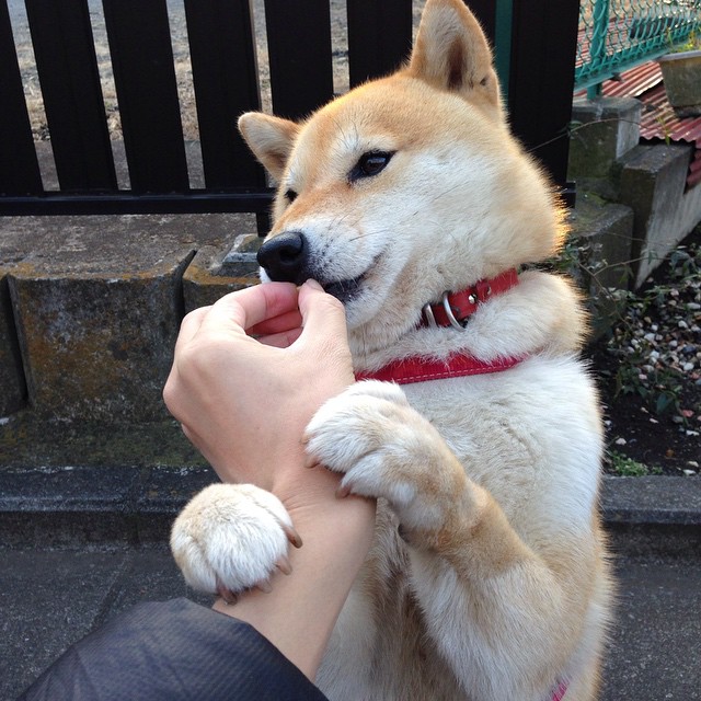 各路豪强在赛场上搏杀,展现出强大竞技实力,各路豪杰是什么意思