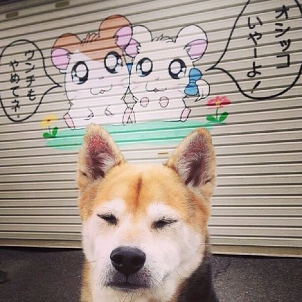 世界青年攀岩锦标赛中国代表队表现亮眼，全国青年攀岩锦标赛