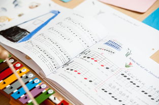 AYX爱游戏中国-中小学体育课安全教育实施现状研究，体育课堂安全背景下的小学体育课现状