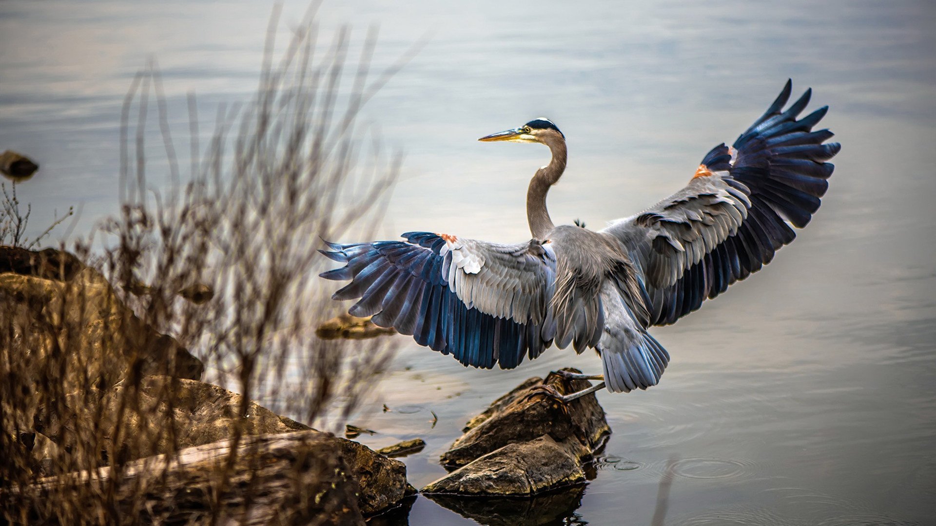 爱游戏体育app下载-运动装备技术研发趋势，运动装备市场