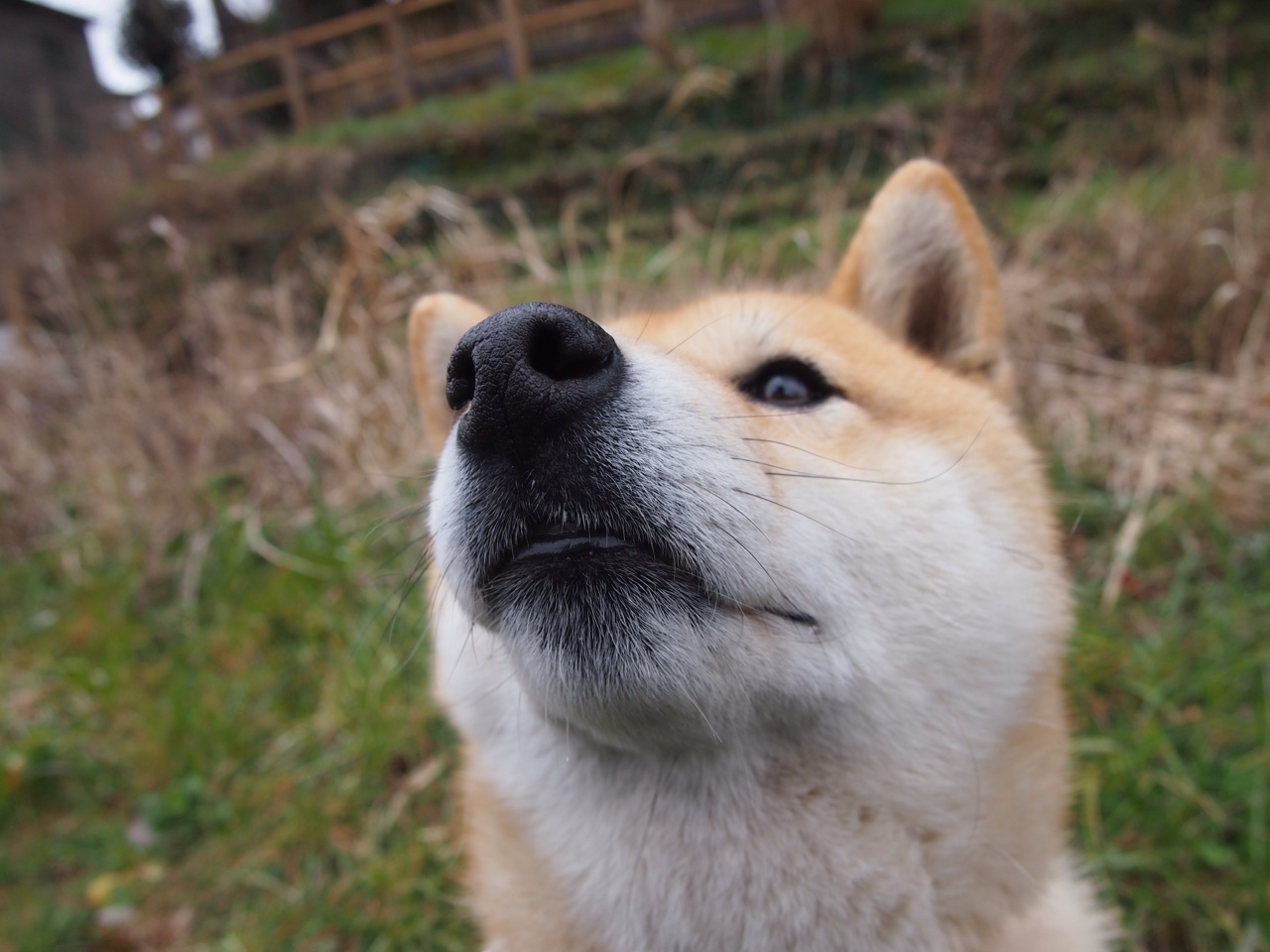 “运动舞蹈：高能开场，金牛区城北体育馆见证精彩不断！”